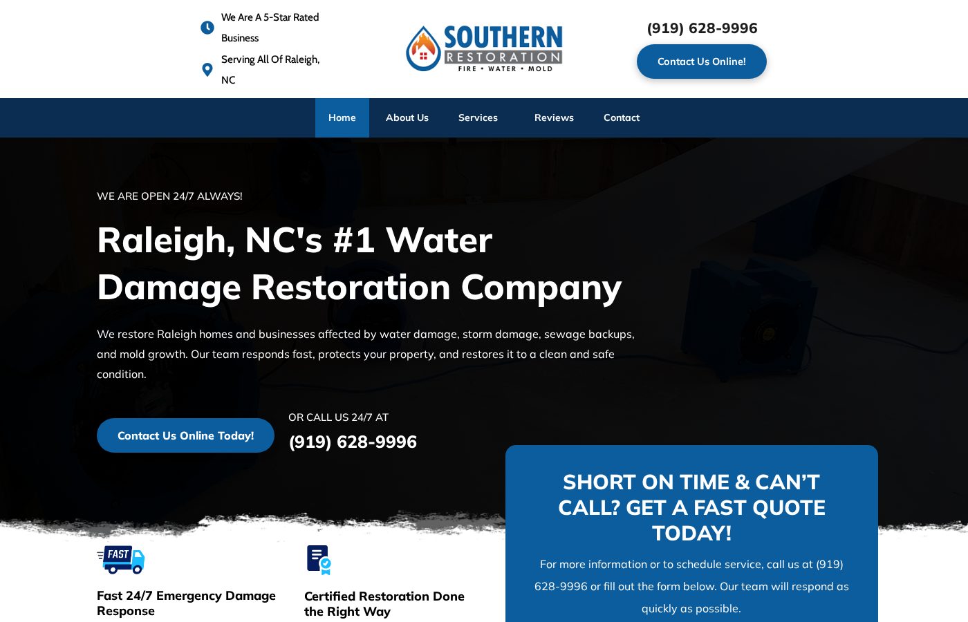 Water Damage South website